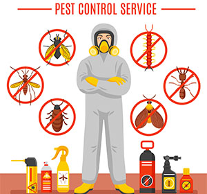 pest-control-service-in-janakpuri